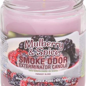Smoke Odor Exterminator Candle - Mulberry & Spice