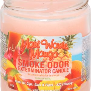 Smoke Odor Exterminator Candle - Maui Wowie